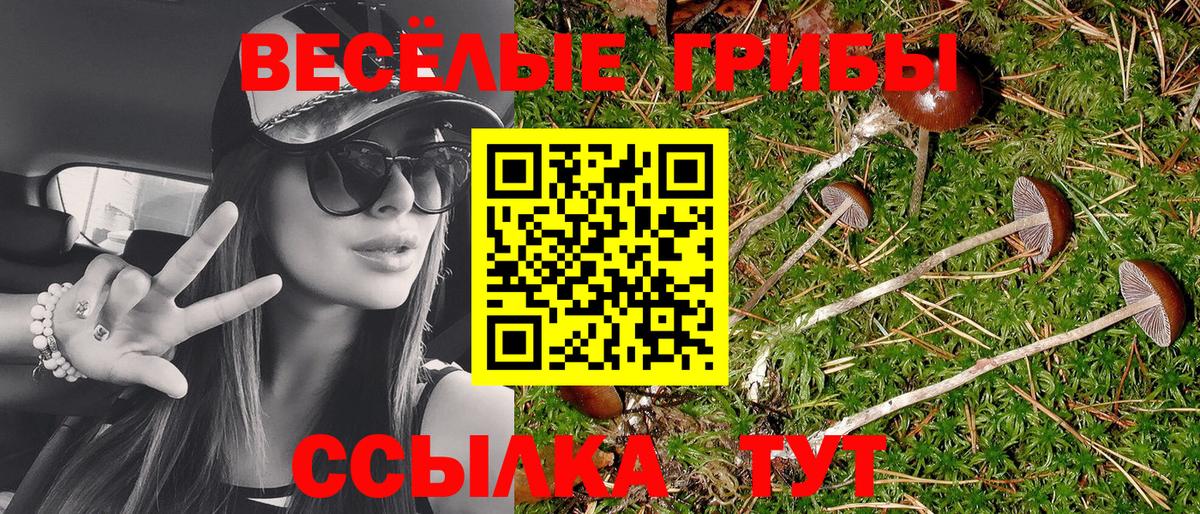 Ставрополь  купить  цена  Вход с VPN  Галлюциногенные грибы Magic Shrooms 